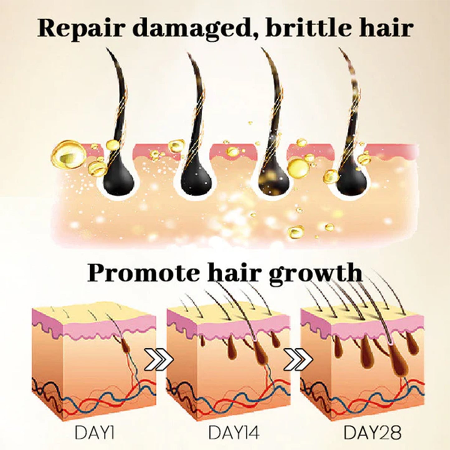 Ginseng Massage Essence, Moisturizes Scalp Strengthens Hair Prevents Loss Hair Care Essence